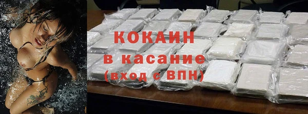 шишки Осинники